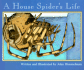 A House Spider's Life (Nature Upclose)
