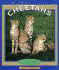 Cheetahs (a True Book)