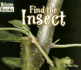 Find the Insect (Welcome Books: Hide and Seek)