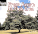 From Acorn to Oak Tree (How Things Grow)