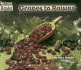 Grapes to Raisins (Welcome Books: How Things Are Made)