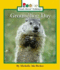 Groundhog Day (Rookie Read-About Holidays)