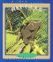 Reptiles (True Books: Animals)