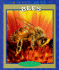 Bees (True Books-Animals)