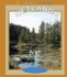 Wetlands (True Books-Ecosystems)