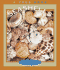 Seashells (True Books: Earth Science)