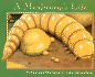 A Mealworm's Life (Nature Upclose)