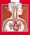 How Does Your Heart Work? (Rookie Read-About Health)
