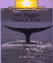 The Biggest Animal Ever (Rookie Read-About Science)