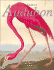 John James Audubon: American Birds