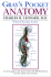 Gray's Pocket Anatomy
