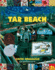 Tar Beach (Caldecott Honor Book)