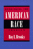 Rethinking the American Race Problem