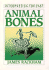 Animal Bones (Interpreting the Past)