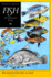Fish: an Enthusiast's Guide