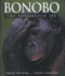 Bonobo: the Forgotten Ape