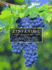 Zinfandel: a History of a Grape and Its Wine