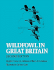 Wildfowl in Great Britain