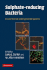 Sulphate-Reducing Bacteria: Environmental and Engineered Systems