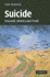 Suicide: Foucault, History and Truth