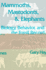 Mammoths, Mastodonts, and Elephants: Biology, Behavior and the Fossil Record