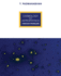 Cosmology and Astrophysics Through Problems