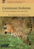 Carnivoran Evolution: New Views on Phylogeny, Form and Function (Cambridge Studies in Morphology and Molecules: New Paradigms in Evolutionary Bio, Series Number 1)