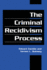 The Criminal Recidivism Process (Cambridge Studies in Criminology)