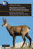Population Genetics for Animal Conservation (Conservation Biology, Series Number 17)