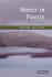 Meter in Poetry: a New Theory