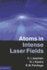 Atoms in Intense Laser Fields (Hardback)