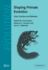 Shaping Primate Evolution: Form, Function, and Behavior (Cambridge Studies in Biological and Evolutionary Anthropology, Series Number 40)