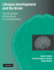 Lifespan Development and the Brain: the Perspective of Biocultural Co-Constructivism