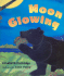 Moon Glowing