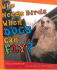 Who Needs Birds When Dogs Can Fly?