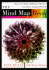 The Mind Map Book: How to Use Radiant Thinking to Maximize Your Brain's Untapped Potential