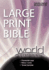 Large Print Bible: New Revised Standard Leather