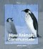 How Animals Communicate (Watts Library)