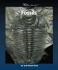 Fossils (Watts Library: Earth Science)