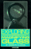 Exploring With a Magnifying Glass (Venture Books)
