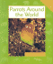 Parrots Around the World (Animals in Order)