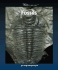 Fossils (Watts Library)