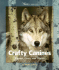 Crafty Canines: Coyotes, Foxes, and Wolves (Watts Library: Animals)