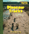 Dinosaur Tracks (Scholastic News Nonfiction Readers: Prehistoric World)