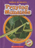 Praying Mantises (Blastoff! Readers: World of Insects)