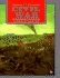 The Civil War: American Tragedy (First Book)
