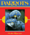Parrots (First Book)