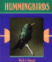 Hummingbirds