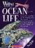 Ocean Life! (World of Wonder)