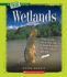 Wetlands (a True Book)